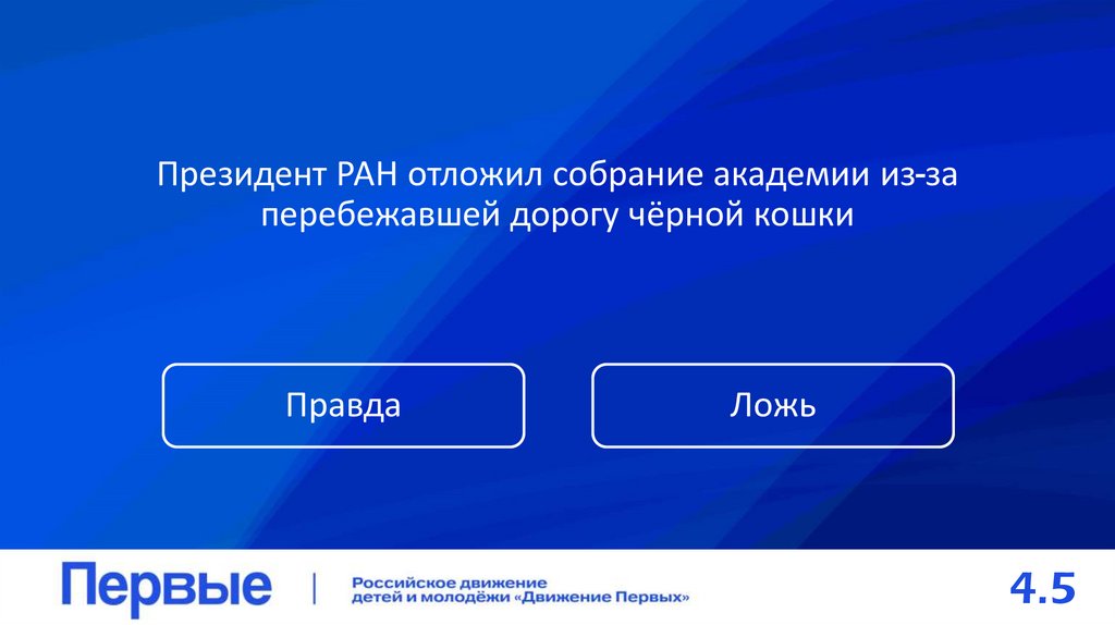 Президент РАН отложил собрание академии из-за перебежавшей дорогу чёрной кошки