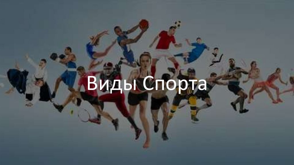 Виды Спорта