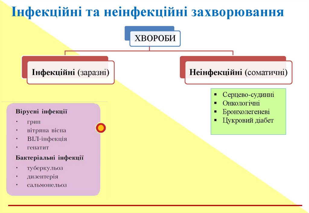 Інфекційні та неінфекційні захворювання
