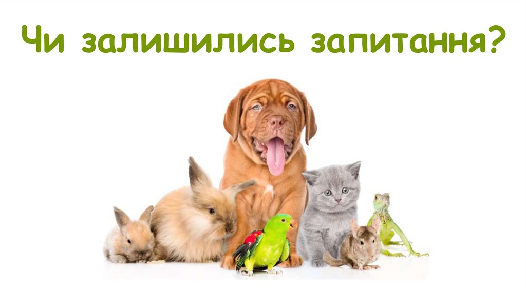 Чи залишились запитання?