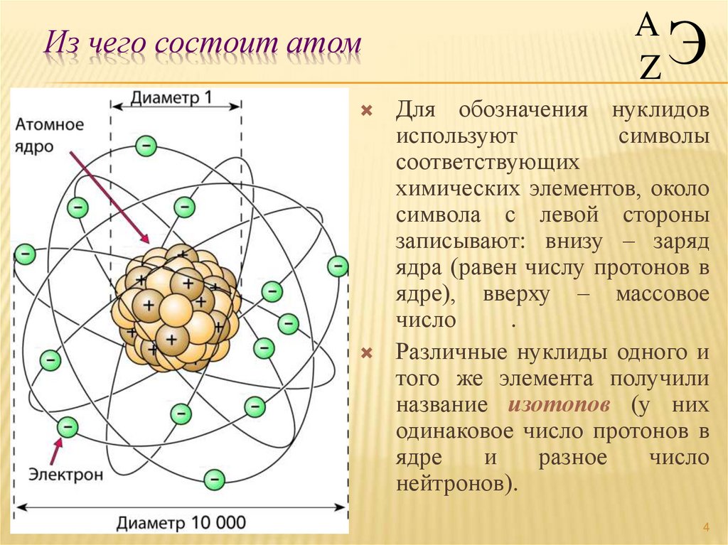 Из чего состоит атом