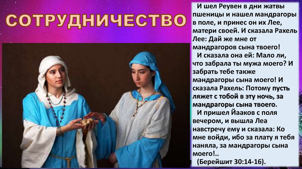 СОТРУДНИЧЕСТВО