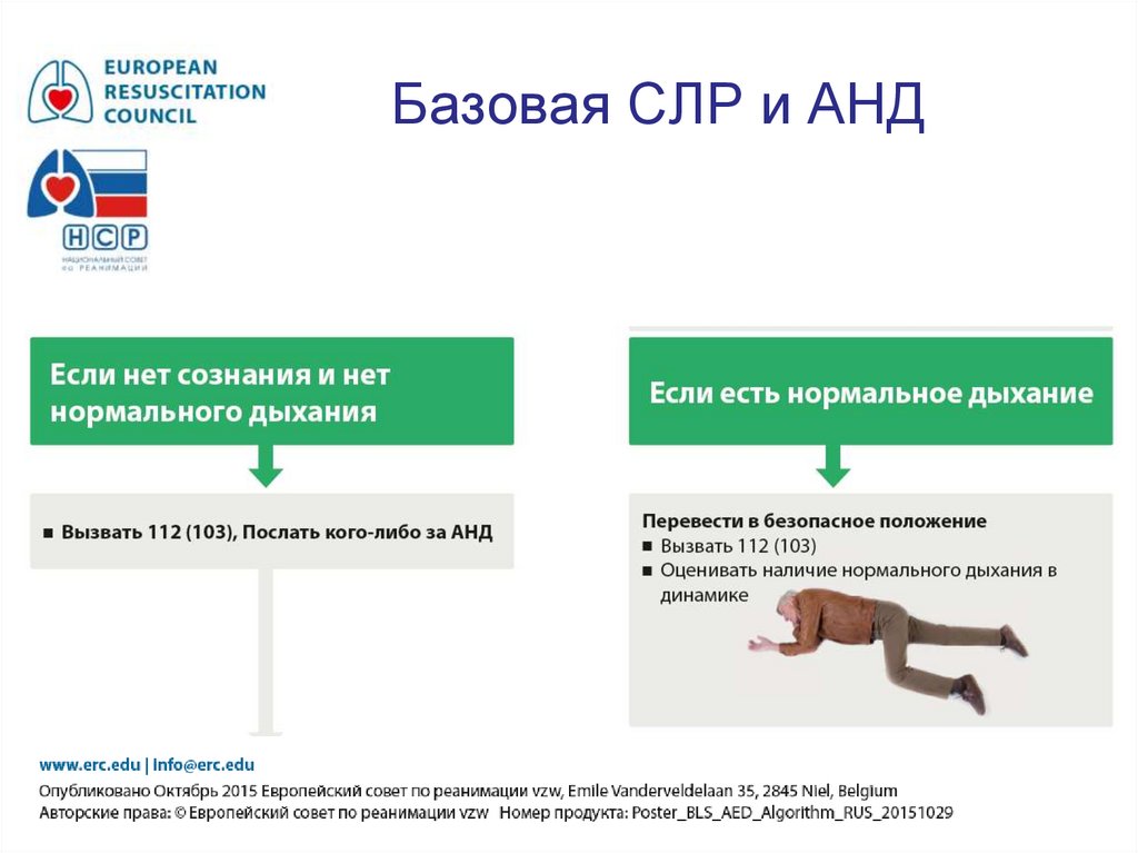 Базовая СЛР и АНД