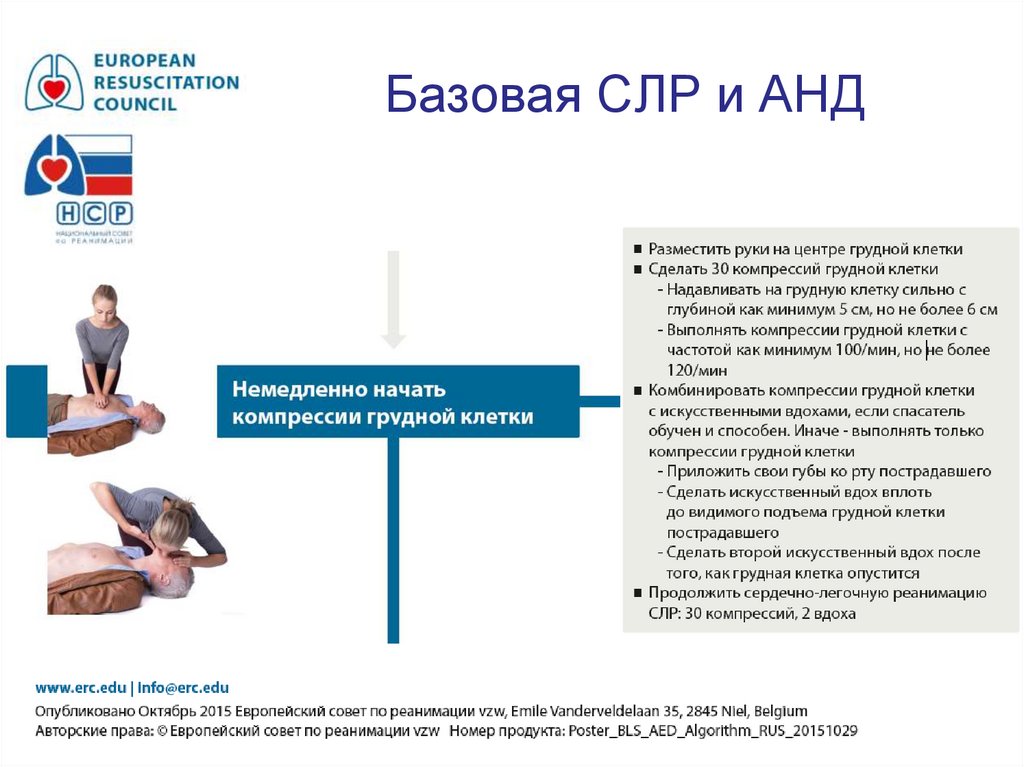 Базовая СЛР и АНД