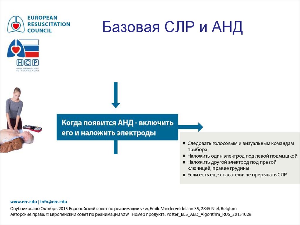 Базовая СЛР и АНД