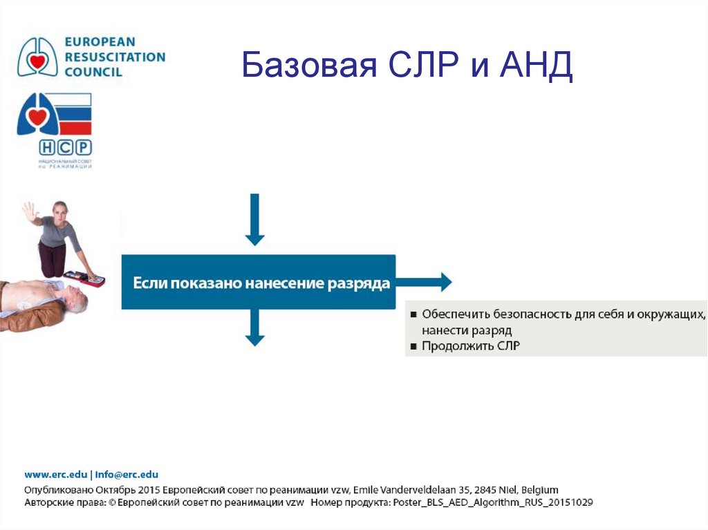 Базовая СЛР и АНД