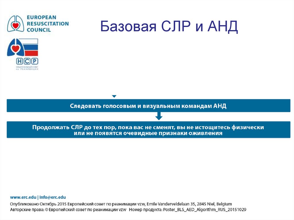 Базовая СЛР и АНД