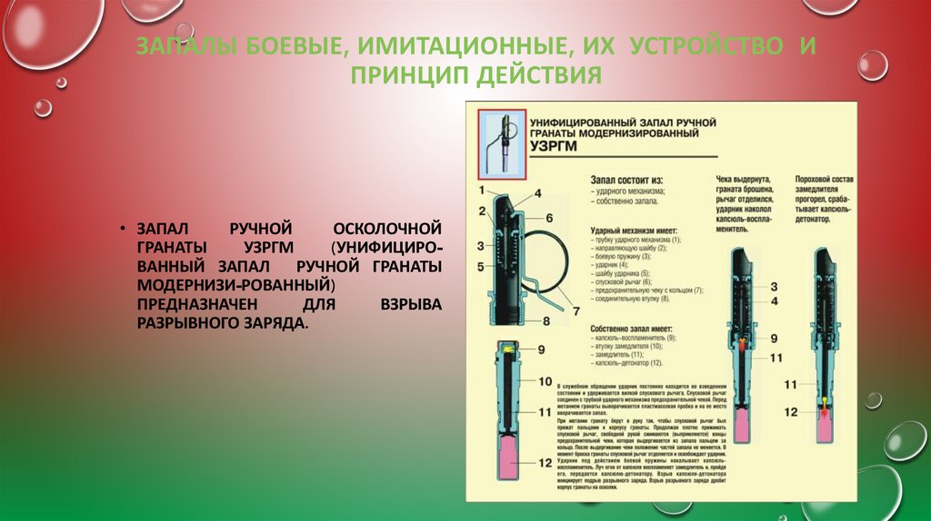 ЗАПАЛЫ БОЕВЫЕ, ИМИТАЦИОННЫЕ, ИХ УСТРОЙСТВО И ПРИНЦИП ДЕЙСТВИЯ