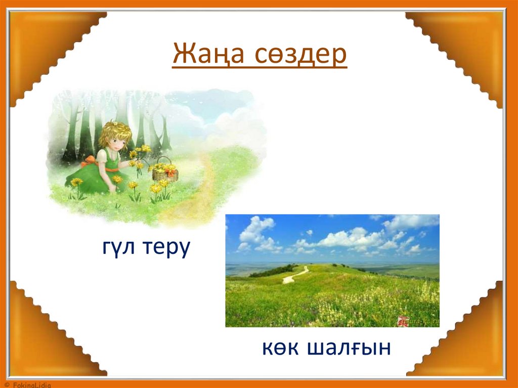Жаңа сөздер