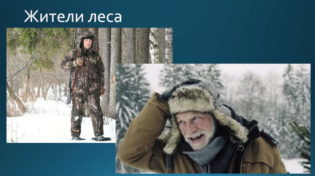 Жители леса