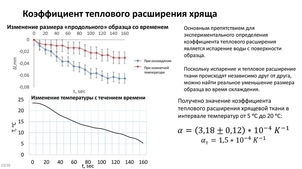 Коэффициент теплового расширения хряща