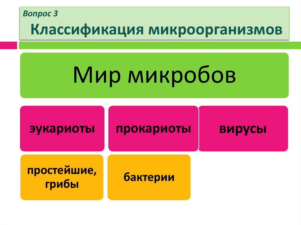 Вопрос 3 Классификация микроорганизмов