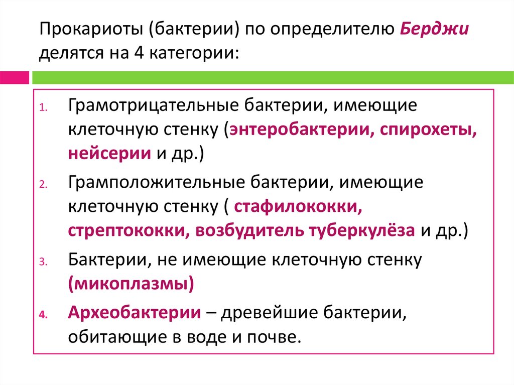 Прокариоты (бактерии) по определителю Берджи делятся на 4 категории:
