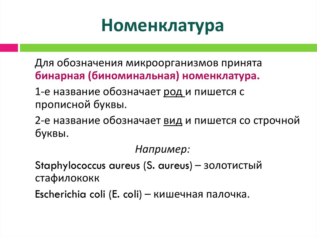 Номенклатура