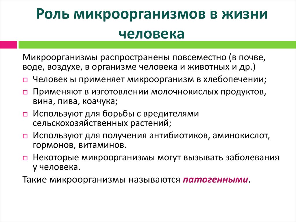 Роль микроорганизмов в жизни человека