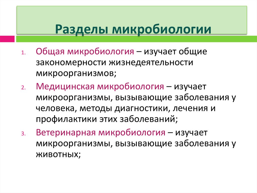 Разделы микробиологии