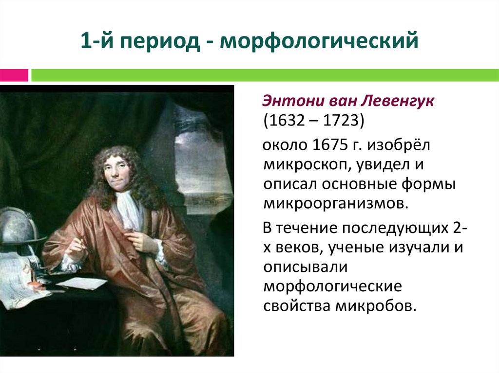 1-й период - морфологический