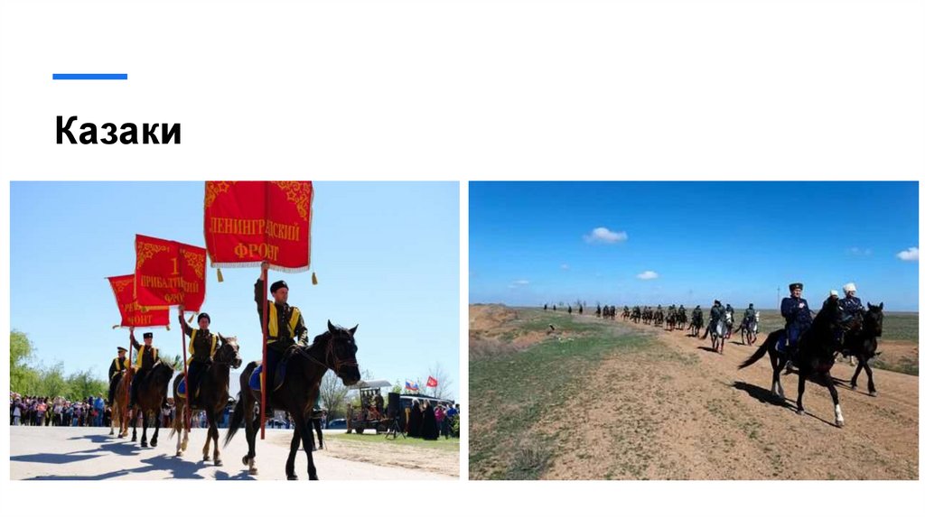 Казаки