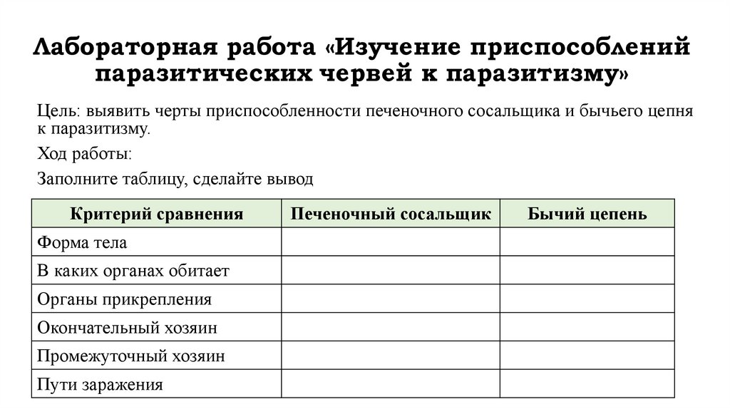 Лабораторная работа «Изучение приспособлений паразитических червей к паразитизму»