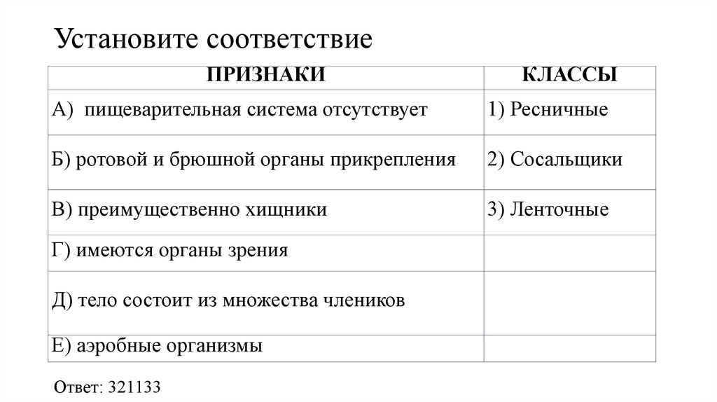 Установите соответствие