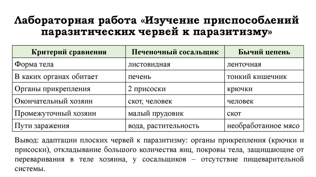Лабораторная работа «Изучение приспособлений паразитических червей к паразитизму»