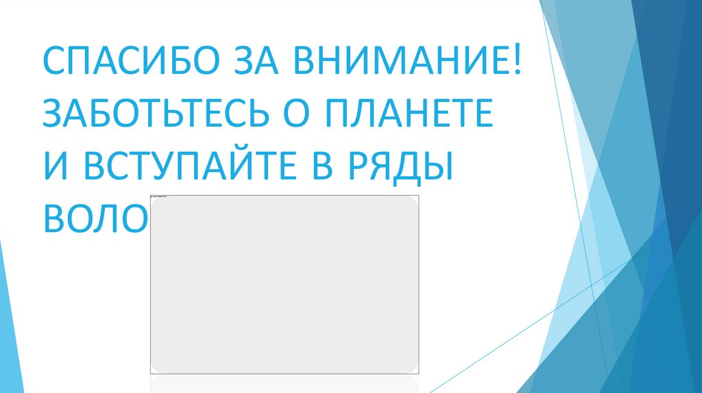 СПАСИБО ЗА ВНИМАНИЕ! ЗАБОТЬТЕСЬ О ПЛАНЕТЕ И ВСТУПАЙТЕ В РЯДЫ ВОЛОНТЕРОВ!