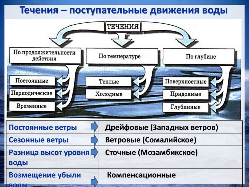 Течения – поступательные движения воды