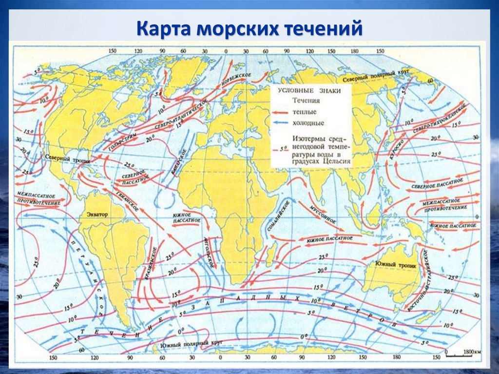 Карта морских течений