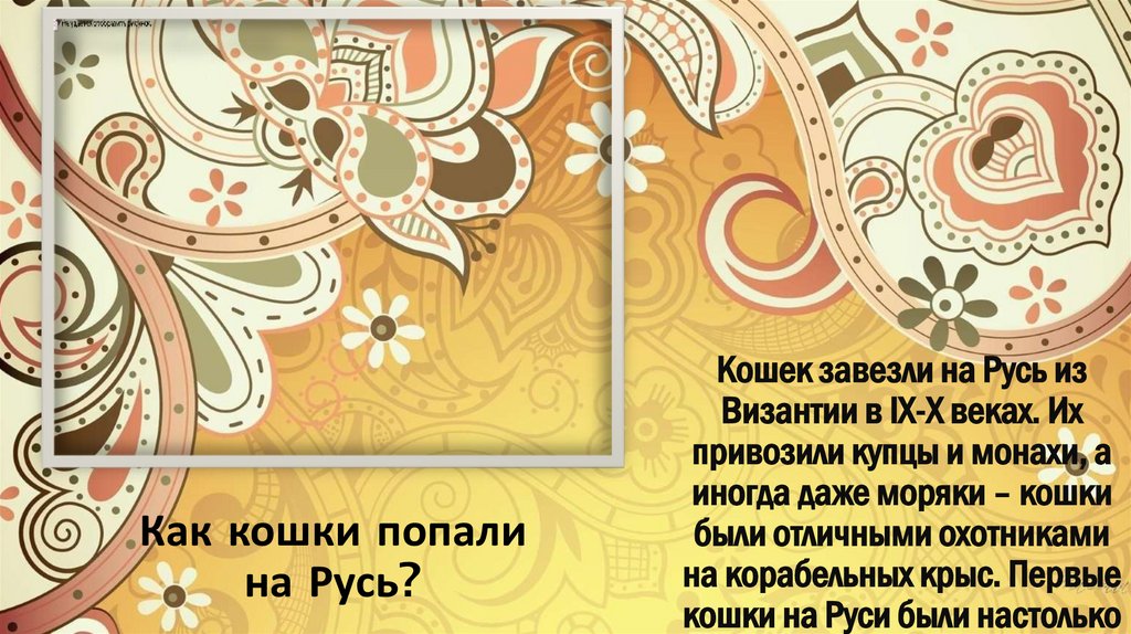 Как кошки попали на Русь?