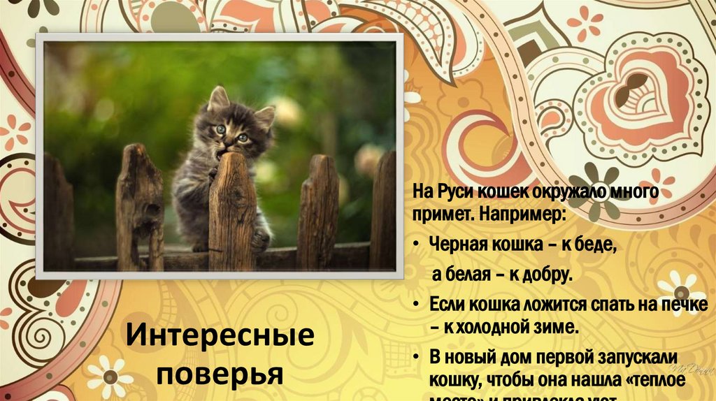 Интересные поверья