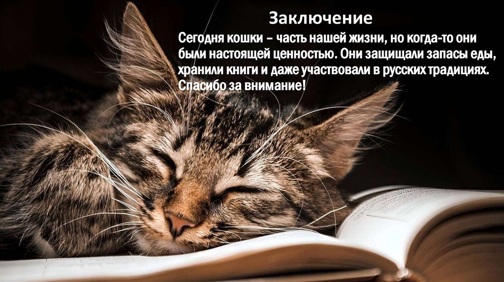 Заключение