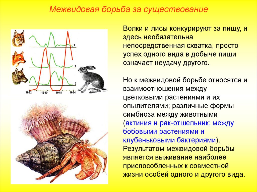 623 межвидовой региональный. 623 межвидовой региональный. Межвидовая борьба примеры растений. Межвидовая борьба примеры животных. 623 мруц ульяновск.