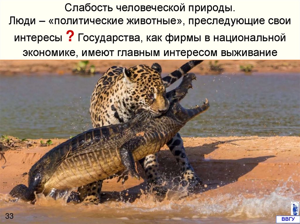 Слабость человеческой природы. Люди – «политические животные», преследующие свои интересы ? Государства, как фирмы в