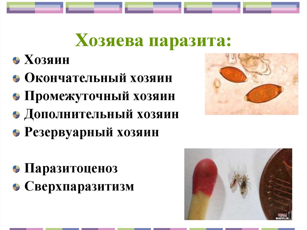 Хозяева паразита: