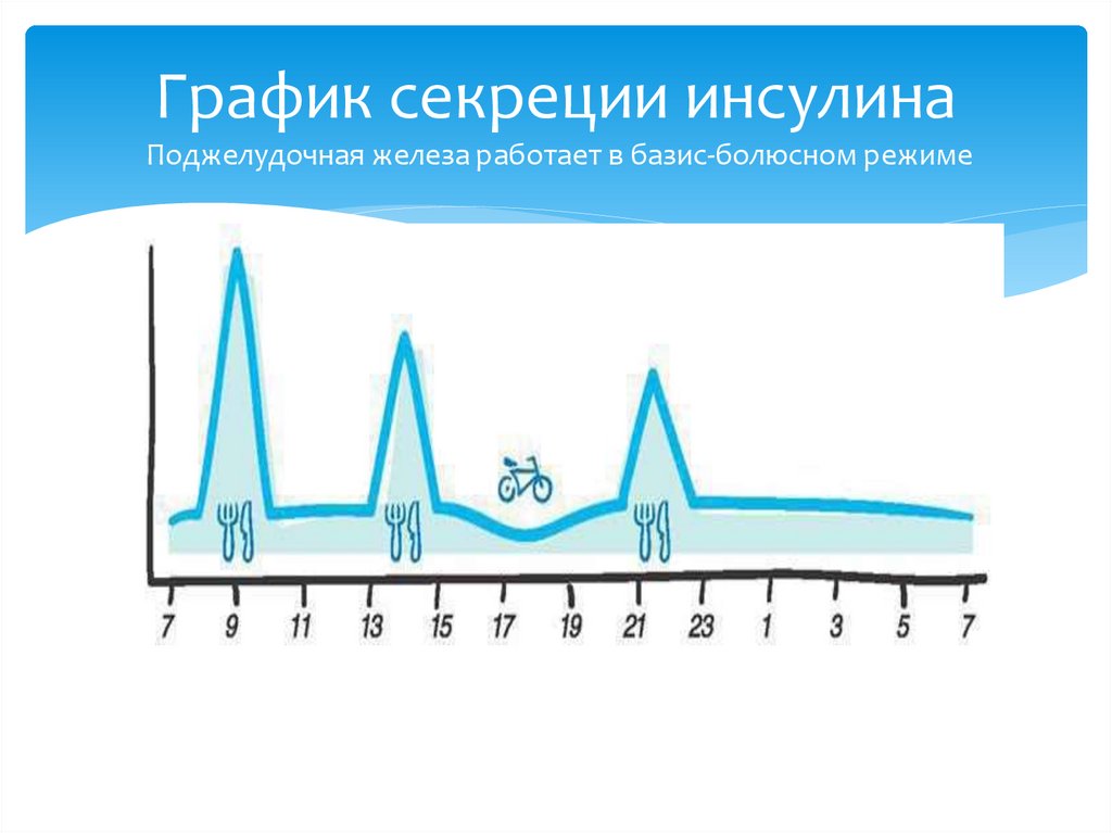 График секреции инсулина Поджелудочная железа работает в базис-болюсном режиме