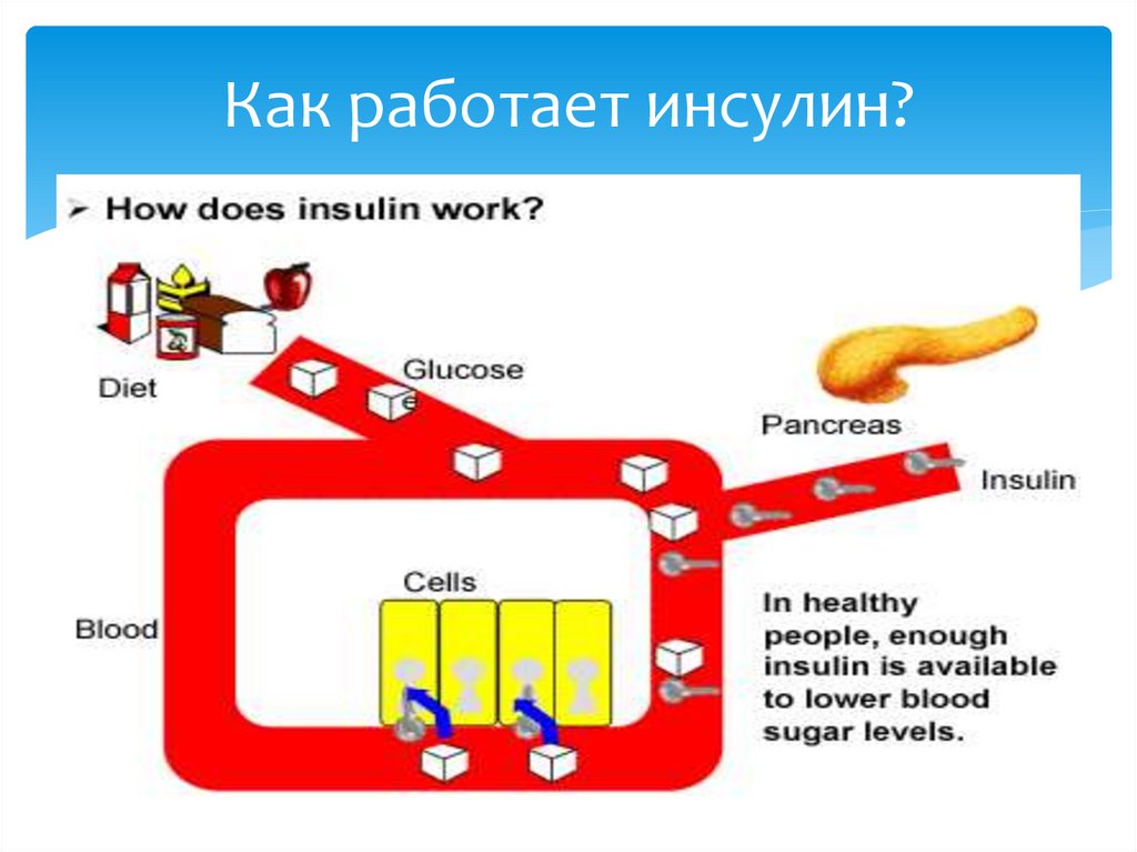 Как работает инсулин?