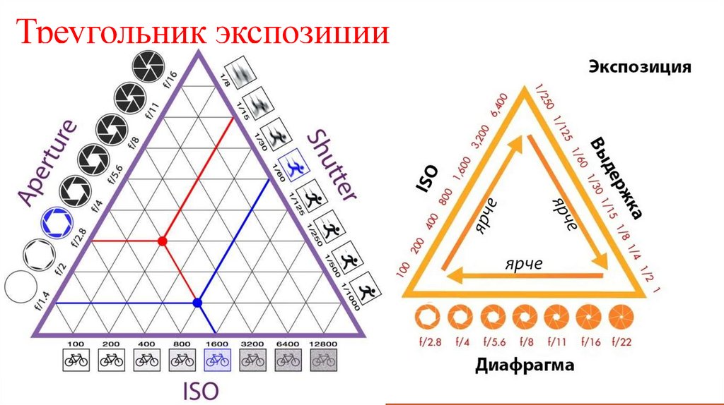 Треугольник экспозиции