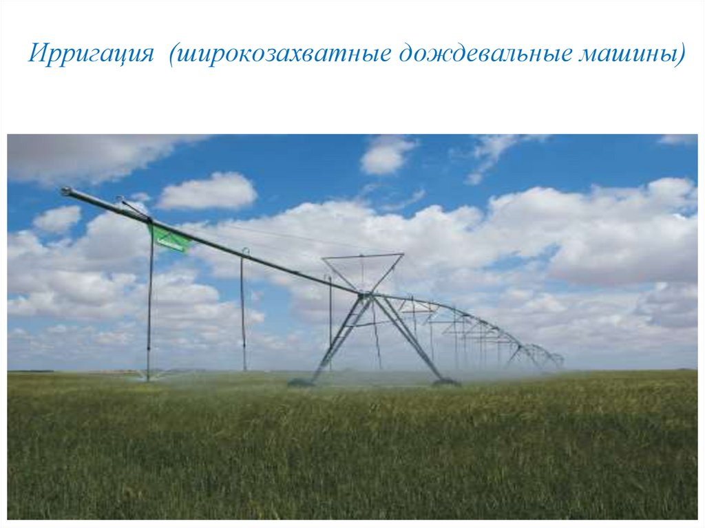 Ирригация (широкозахватные дождевальные машины)