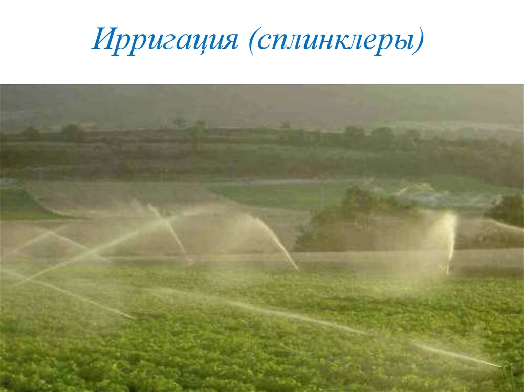 Ирригация (сплинклеры)