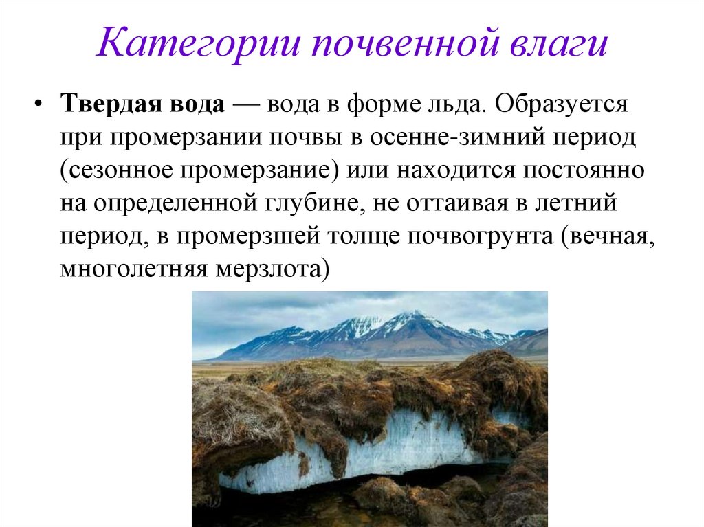 Категории почвенной влаги