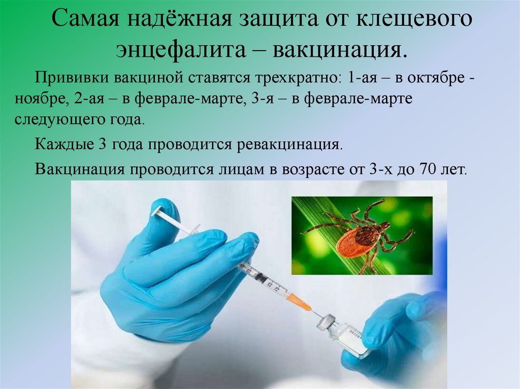 Самая надёжная защита от клещевого энцефалита – вакцинация.