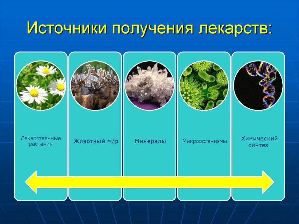 Источники получения лекарств: