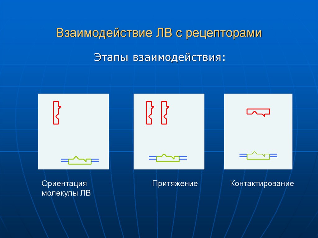 Взаимодействие ЛВ с рецепторами