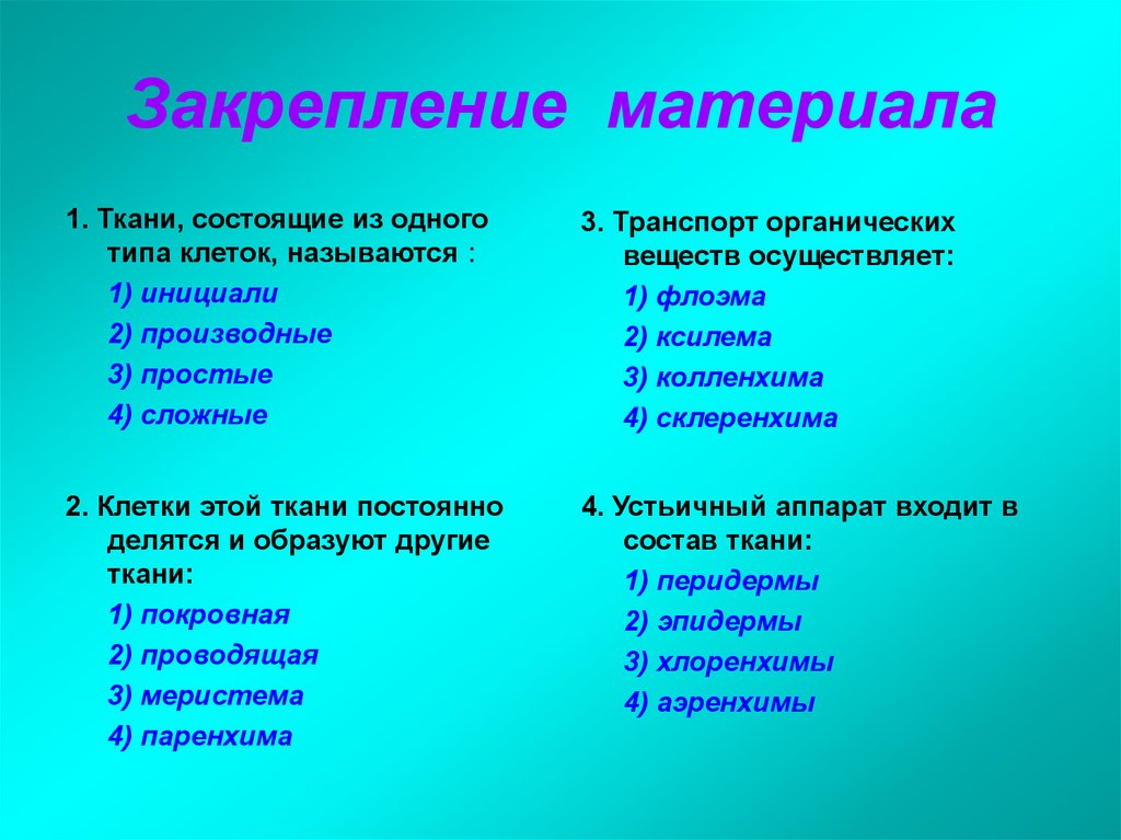 Закрепление материала