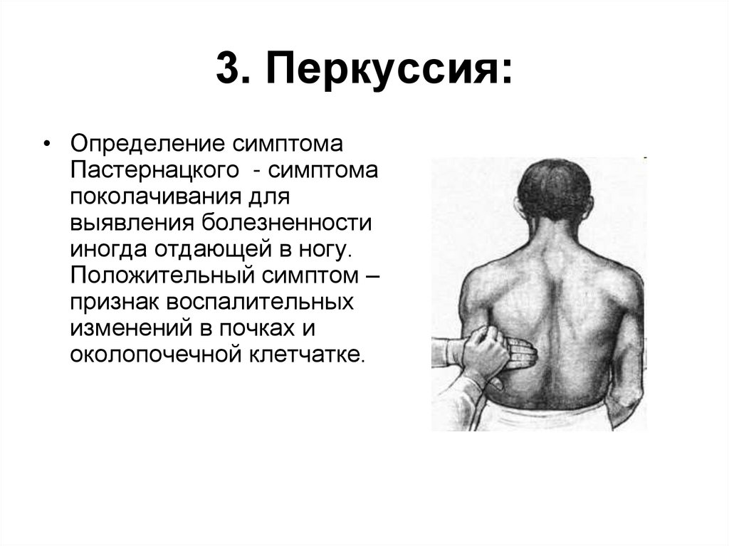 3. Перкуссия: