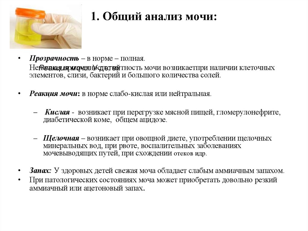 1. Общий анализ мочи: