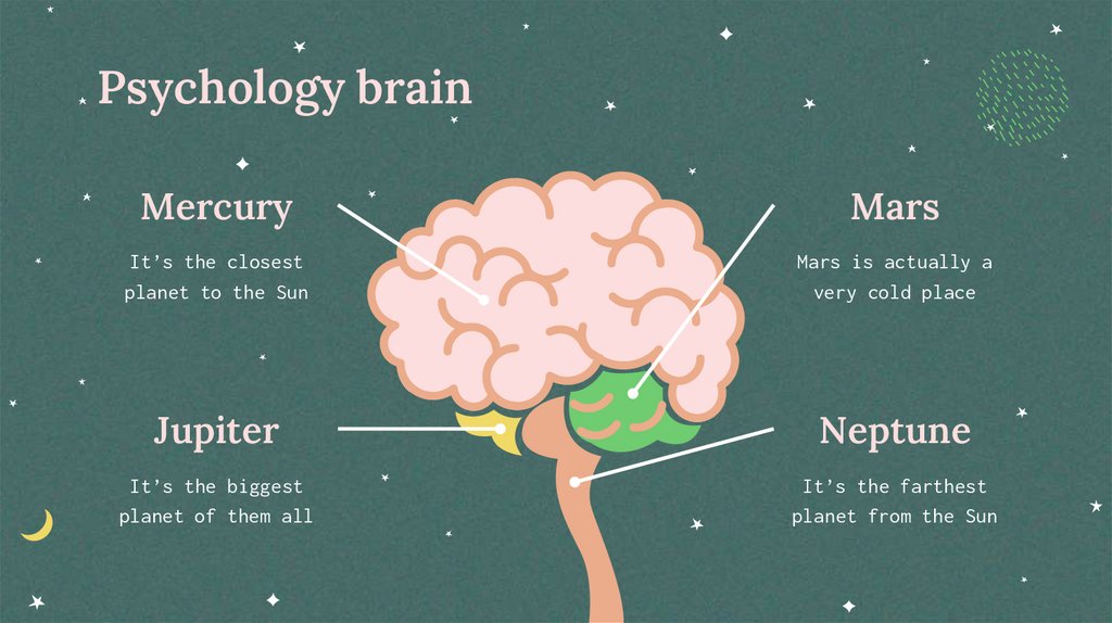 Psychology brain