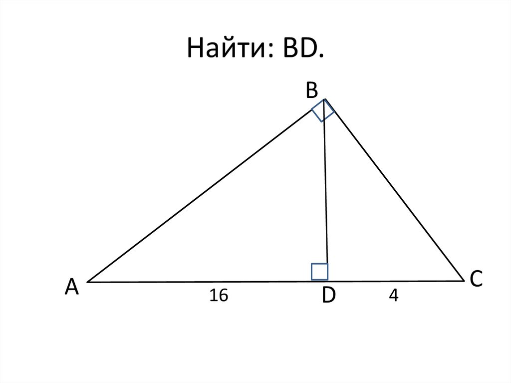 Найти: BD.