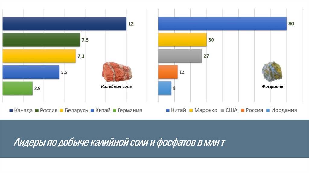 Лидеры по добыче калийной соли и фосфатов в млн т