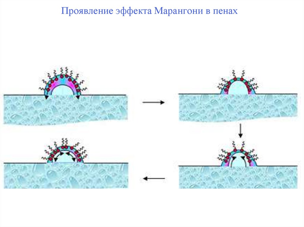 Проявление эффекта Марангони в пенах